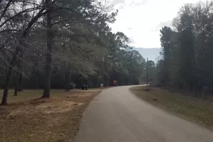 19190 Todd Rd, Magnolia, TX 77355 - Photo 11