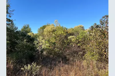 3711 Felix Currie Road, Point Blank, TX 77364 - Photo 7