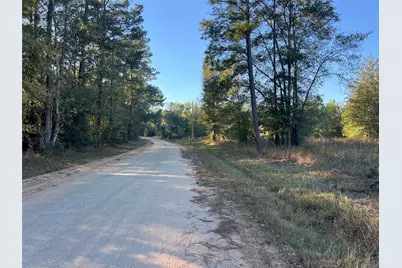 3711 Felix Currie Road, Point Blank, TX 77364 - Photo 13