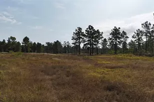 3711 Felix Currie Rd, Point Blank, TX 77364 - Photo 1