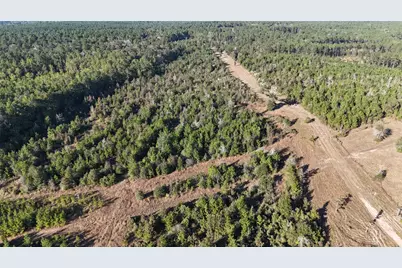 3711 Felix Currie Road, Point Blank, TX 77364 - Photo 21