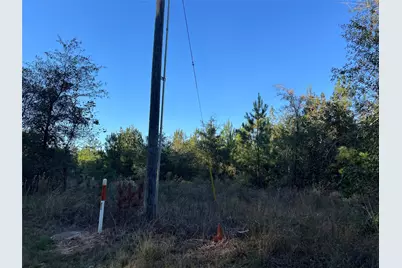 3711 Felix Currie Road, Point Blank, TX 77364 - Photo 9