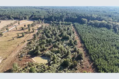 3711 Felix Currie Road, Point Blank, TX 77364 - Photo 19