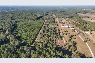 3711 Felix Currie Road, Point Blank, TX 77364 - Photo 15