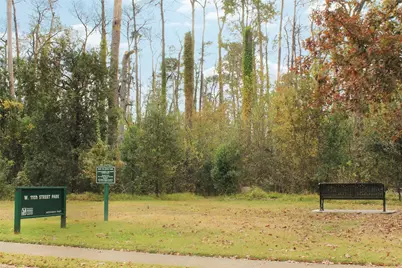 6302 Chelsea Falls Lane, Houston, TX 77008 - Photo 33