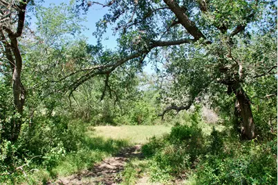 1049 Muehr Road, Weimar, TX 78962 - Photo 11