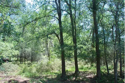 1049 Muehr Road, Weimar, TX 78962 - Photo 15