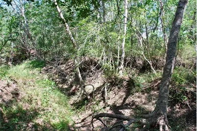 1049 Muehr Road, Weimar, TX 78962 - Photo 13