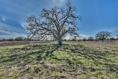 000 Newsom Road, Bellville, TX 77418 - Photo 9