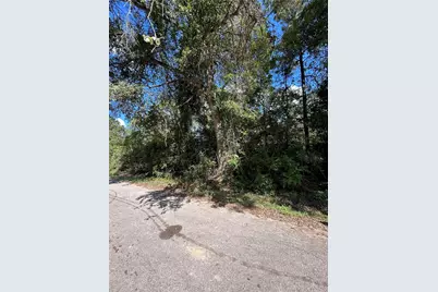 0 Myrtie Dr, Shepherd, TX 77371 - Photo 1