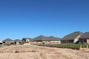 31843 Blossom Ln, Fulshear, TX 77423 - Photo 5