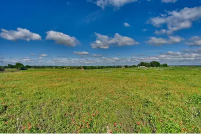 60 Acres McNelly Lane, Burton, TX 77835 - Photo 9