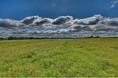 60 Acres McNelly Lane, Burton, TX 77835 - Photo 15