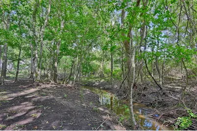 60 Acres McNelly Lane, Burton, TX 77835 - Photo 13