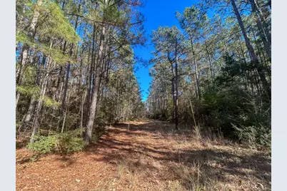 3320 Fm 3065, Colmesneil, TX 75938 - Photo 23