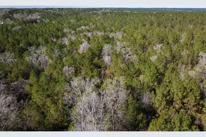 3320 Fm 3065, Colmesneil, TX 75938 - Photo 5