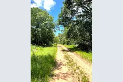 0 Squirrel Drive, Hempstead, TX 77445 - Photo 5