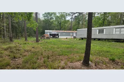 451 N Higgins Road, Shepherd, TX 77371 - Photo 3
