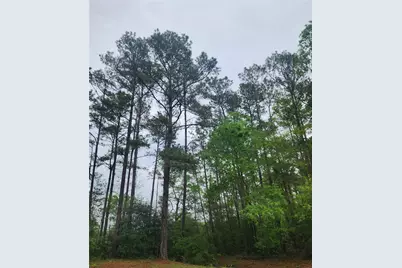 Tbd Cloverdale, Livingston, TX 77351 - Photo 5