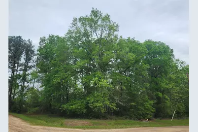 Tbd Cloverdale, Livingston, TX 77351 - Photo 1