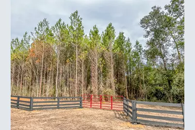 00 Cr 2305 S, Moss Hill, TX 77327 - Photo 13