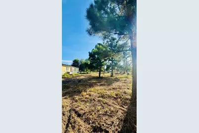 82 County Road 5248, Cleveland, TX 77327 - Photo 15
