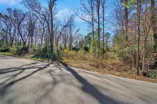 10884 Champion Village Dr, Conroe, TX 77303 - Photo 1