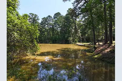 Tbd James Lane, Coldspring, TX 77331 - Photo 17