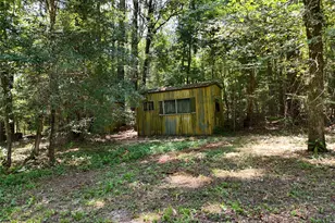 Tbd James Ln, Coldspring, TX 77331 - Photo 25
