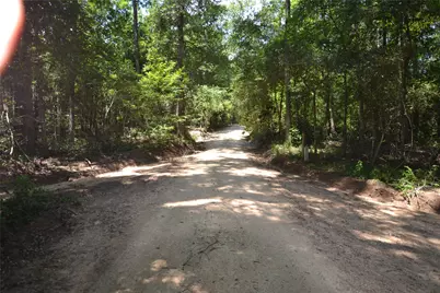 Tbd James Lane, Coldspring, TX 77331 - Photo 31