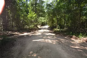 Tbd James Ln, Coldspring, TX 77331 - Photo 31