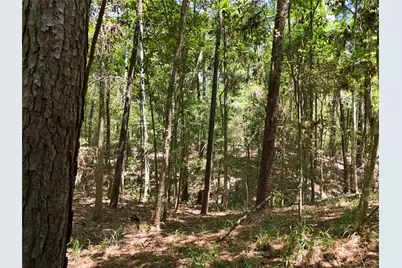Tbd James Lane, Coldspring, TX 77331 - Photo 21