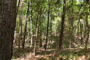 Tbd James Ln, Coldspring, TX 77331 - Photo 21