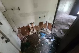 4230 Brisbane St, Houston, TX 77047 - Photo 3