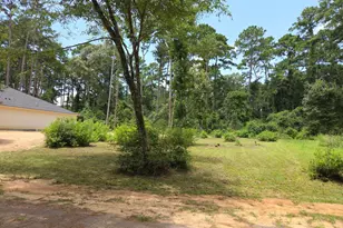 Tr 28 Oak Pine Dr, Livingston, TX 77351 - Photo 1