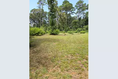 Tr 28 Oak Pine Drive, Livingston, TX 77351 - Photo 5