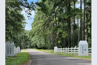 Tr 28 Oak Pine Drive, Livingston, TX 77351 - Photo 3