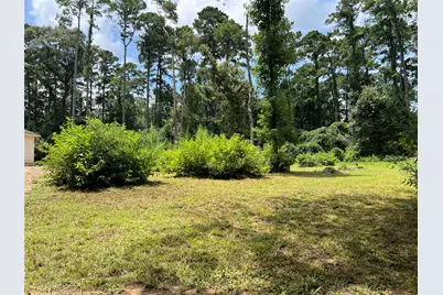 Tr 28 Oak Pine Drive, Livingston, TX 77351 - Photo 7