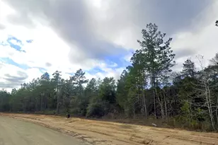 11652 Grand N Rd, Willis, TX 77358 - Photo 9