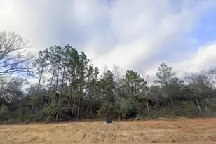 11652 Grand N Rd, Willis, TX 77358 - Photo 5