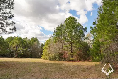 00 00 Recreational Road 255, Colmesneil, TX 75938 - Photo 5