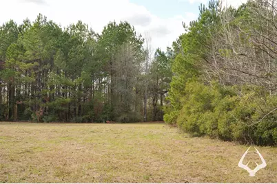 00 00 Recreational Road 255, Colmesneil, TX 75938 - Photo 35