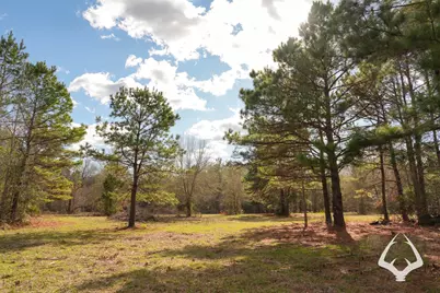00 00 Recreational Road 255, Colmesneil, TX 75938 - Photo 23