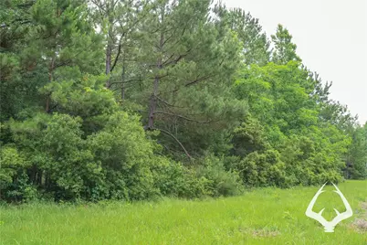 00 00 Recreational Road 255, Colmesneil, TX 75938 - Photo 31