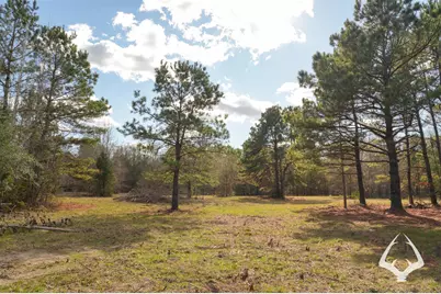 00 00 Recreational Road 255, Colmesneil, TX 75938 - Photo 11