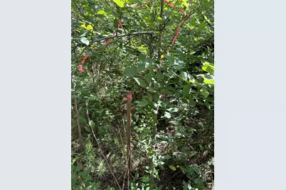 0 Donna Street, Houston, TX 77048 - Photo 3