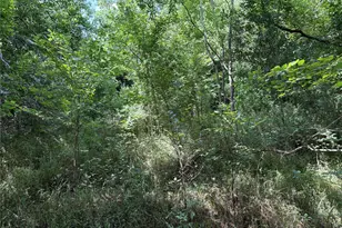 0 Donna St, Houston, TX 77048 - Photo 1