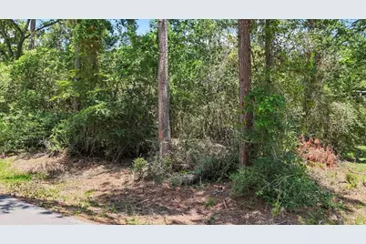 31906 Pine Crossing, Magnolia, TX 77355 - Photo 5