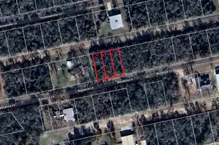 0000 Bonanza Ln, Hilltop Lakes, TX 77871 - Photo 1