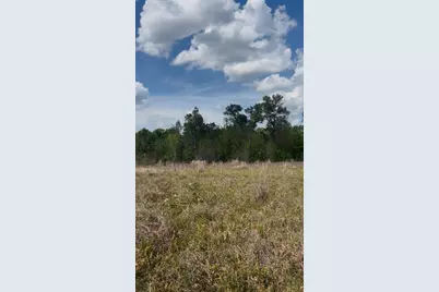 2147 8160 Tract 36, Lovelady, TX 75851 - Photo 1